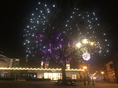 Christmas tree lit up