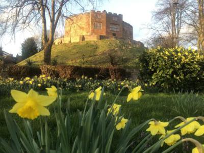 Castle Tamworth