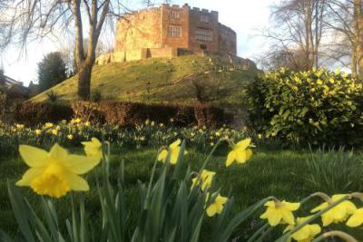 Castle Tamworth 