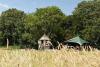 dandelion glamping